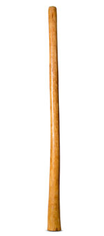 Gloss Finish Didgeridoo (TW1164)